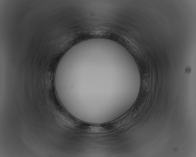 X0000089380605200707131700