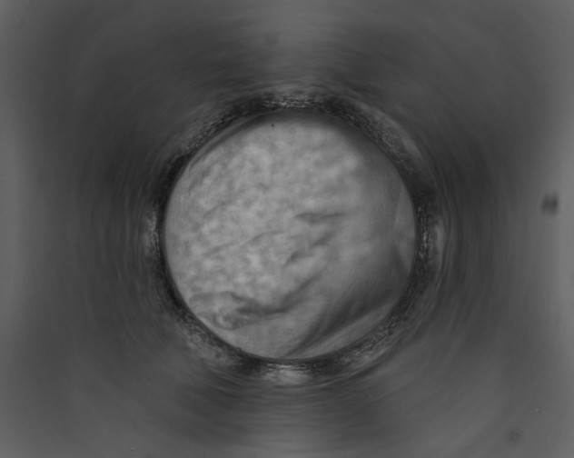 X0000089380610200707131700