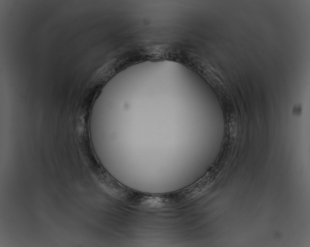 X0000089380611200707131700