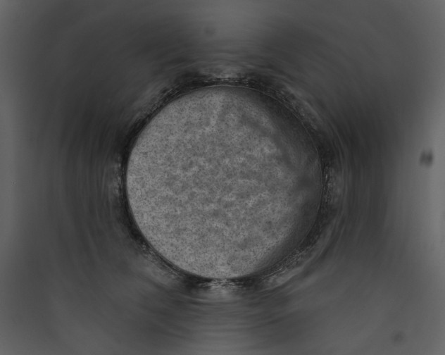 X0000089380612200707131700