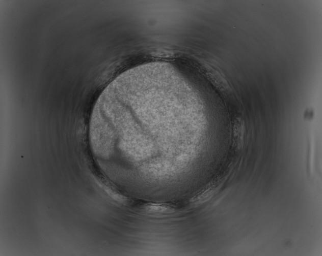 X0000089380614200707131659