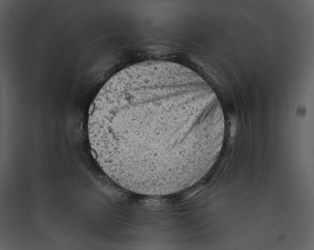 X0000089380615200707131659