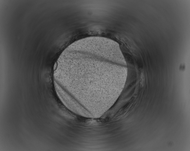 X0000089380616200707131659