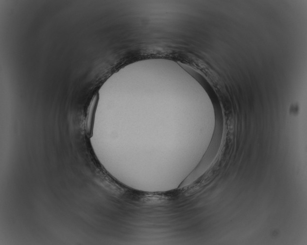 X0000089380617200707131659