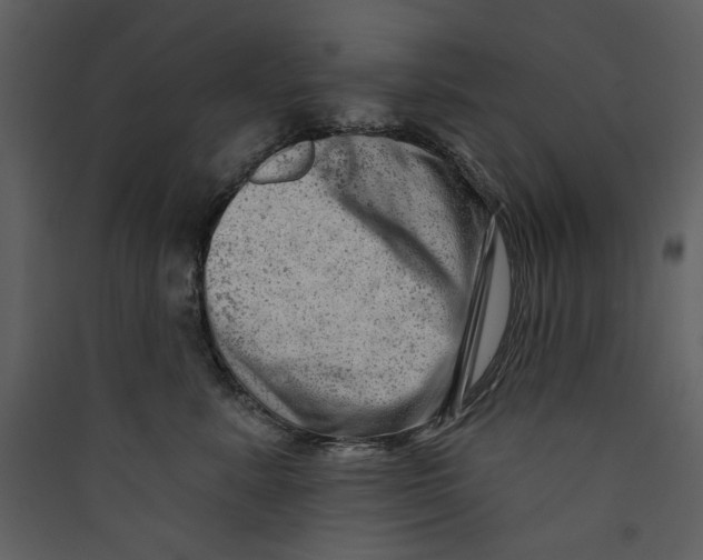 X0000089380619200707131659