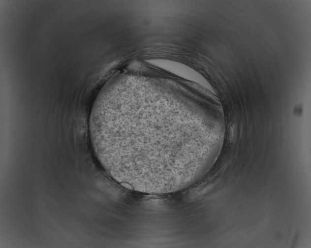 X0000089380620200707131659