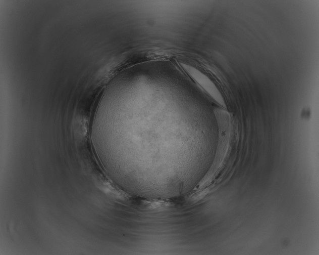 X0000089380621200707131659