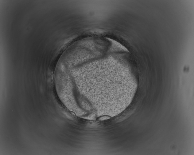 X0000089380624200707131659