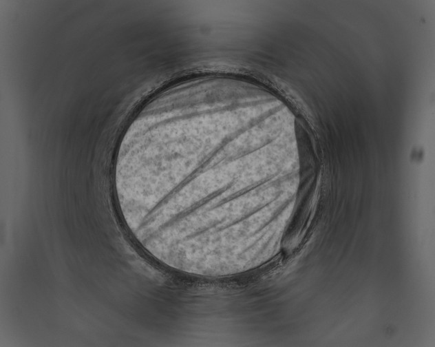 X0000089380625200707131659