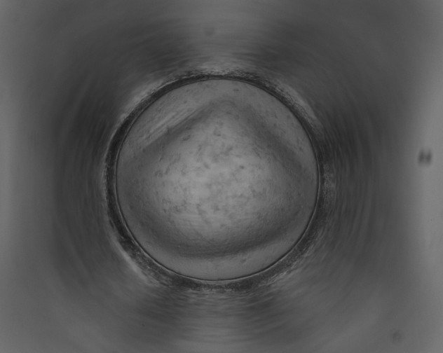 X0000089380626200707131659