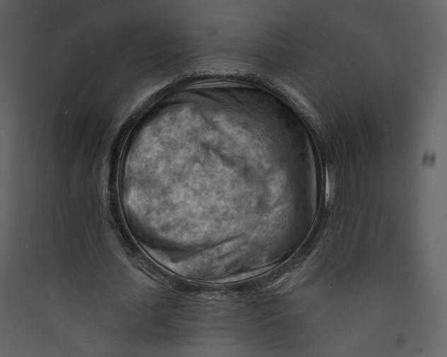 X0000089380627200707131659