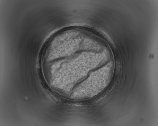 X0000089380628200707131659