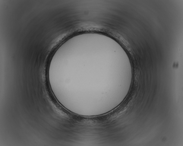 X0000089380629200707131659