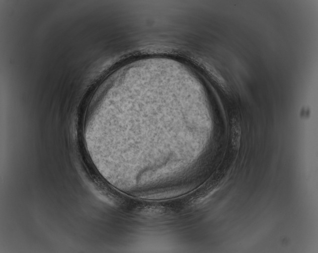 X0000089380631200707131659