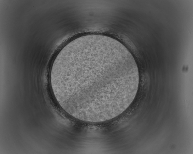 X0000089380632200707131659