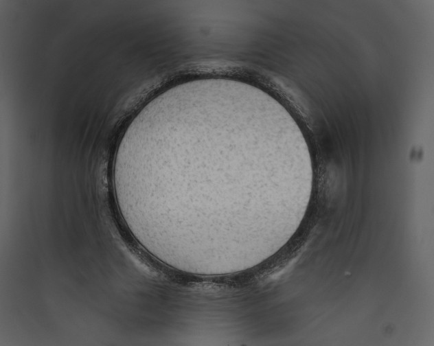 X0000089380633200707131659