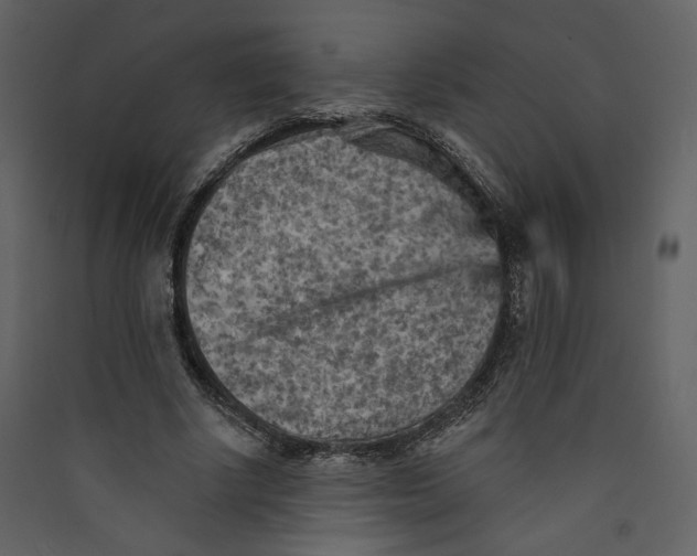 X0000089380634200707131659