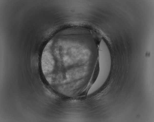 X0000089380637200707131659