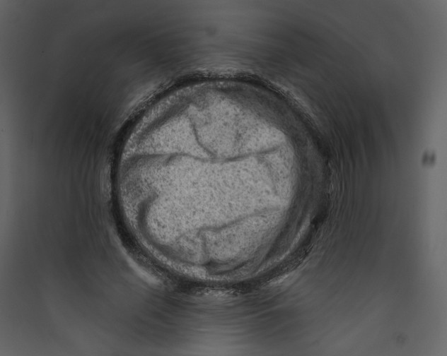 X0000089380638200707131659