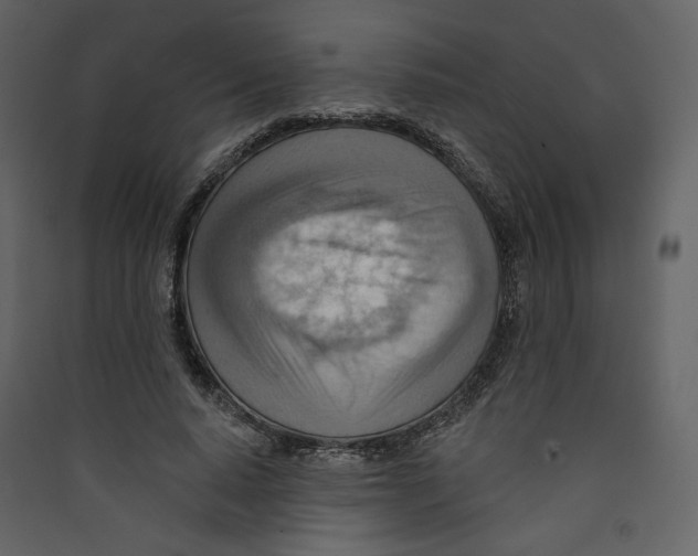 X0000089380640200707131659