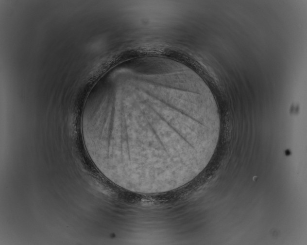 X0000089380641200707131659