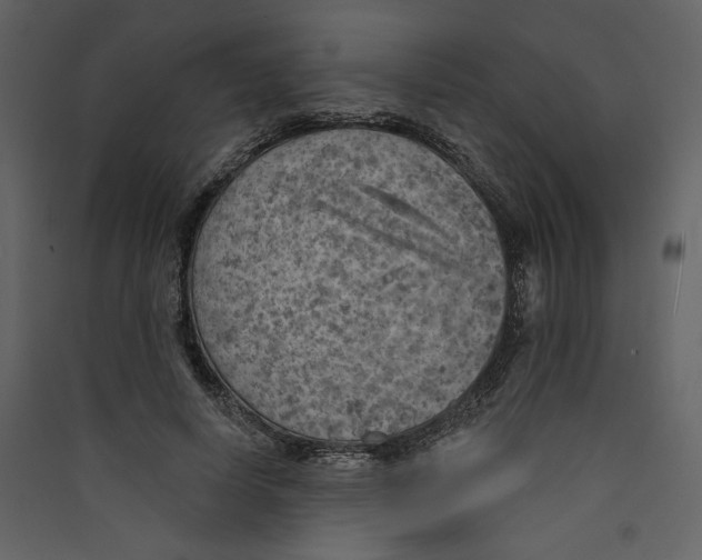 X0000089380642200707131659