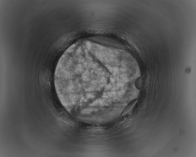 X0000089380643200707131659