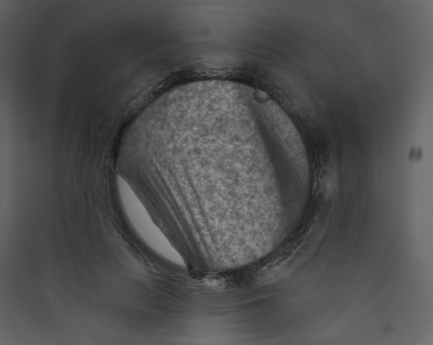 X0000089380647200707131659