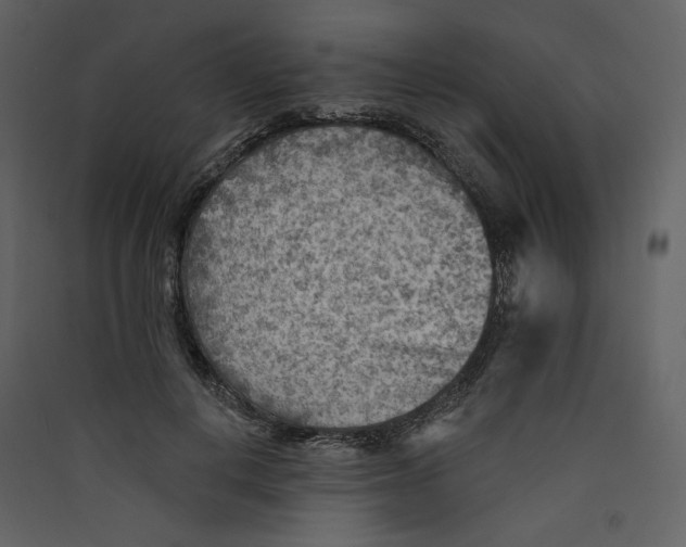 X0000089380648200707131659