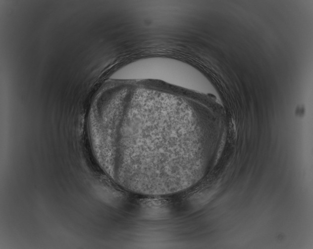 X0000089380652200707131659