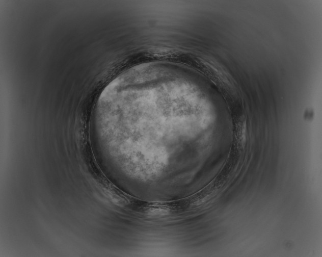 X0000089380653200707131659