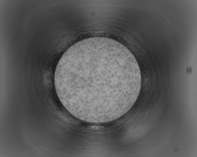 X0000089380654200707131659