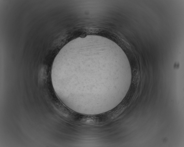 X0000089380655200707131659