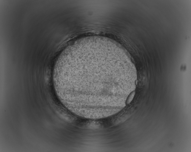 X0000089380656200707131659