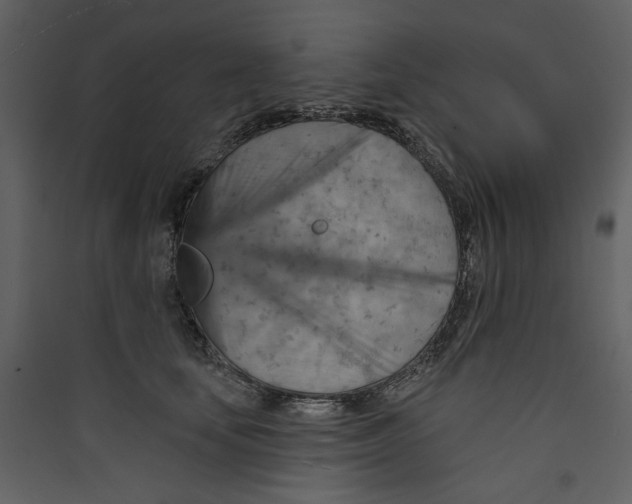 X0000089380659200707131659