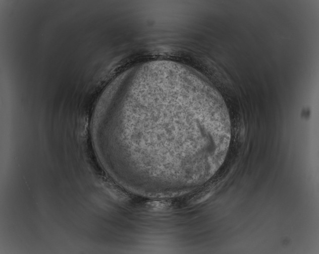 X0000089380660200707131659