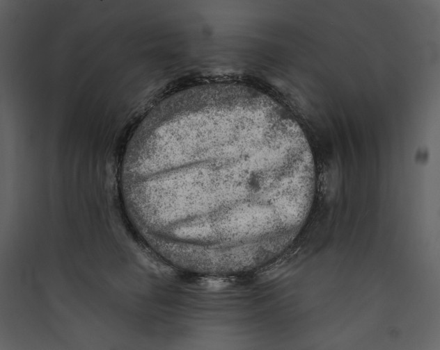 X0000089380662200707131659