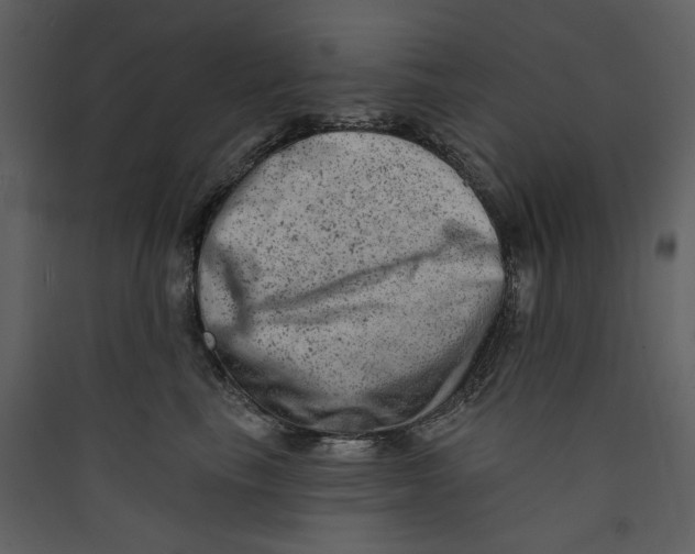 X0000089380665200707131659