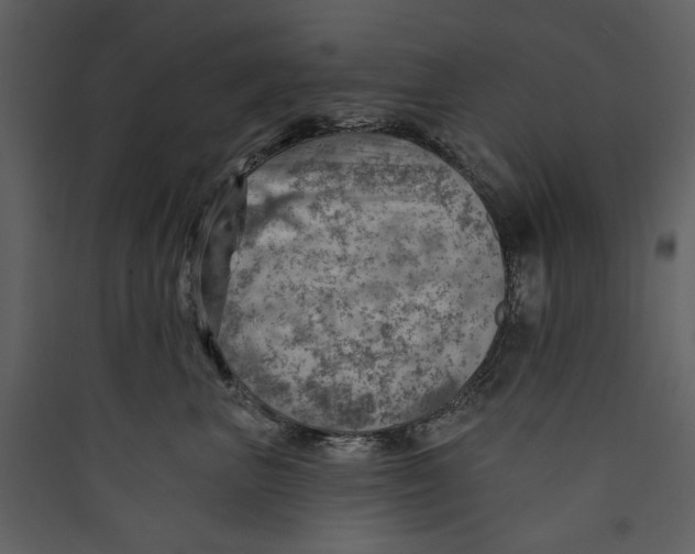 X0000089380667200707131659