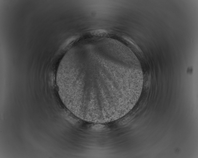 X0000089380669200707131659