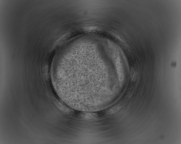 X0000089380670200707131659