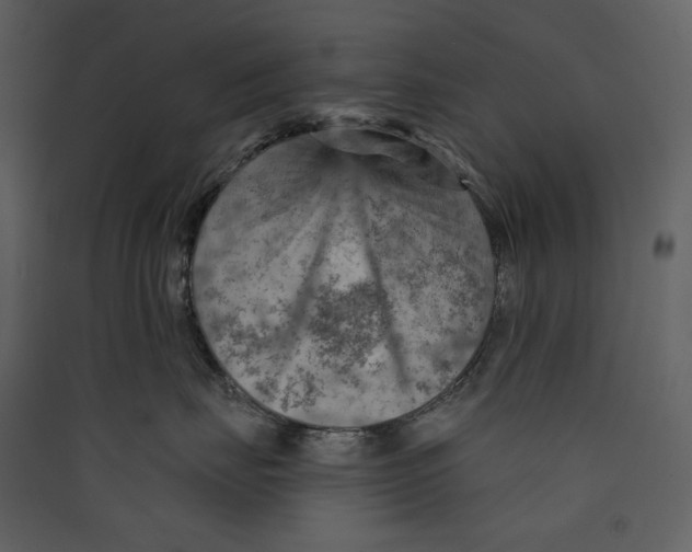 X0000089380671200707131659