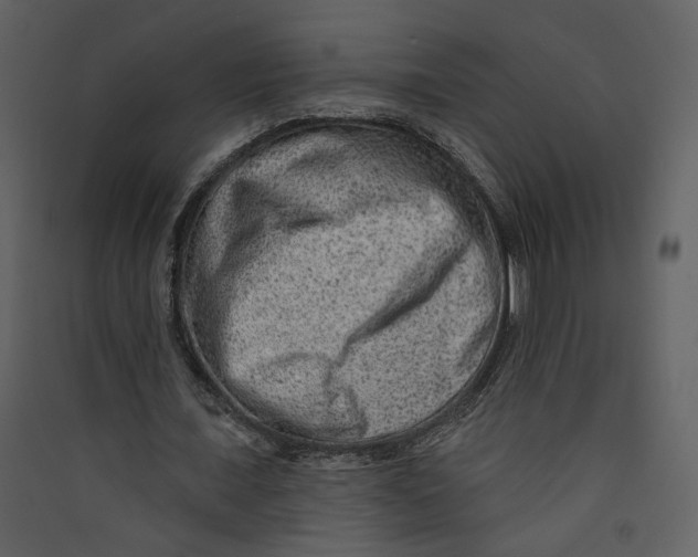 X0000089380675200707131659