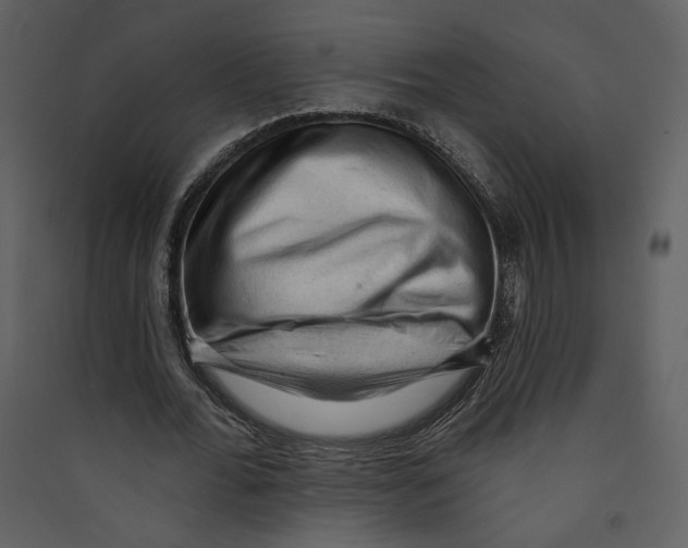 X0000089380676200707131659