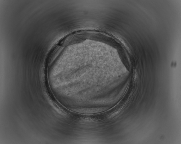 X0000089380677200707131659