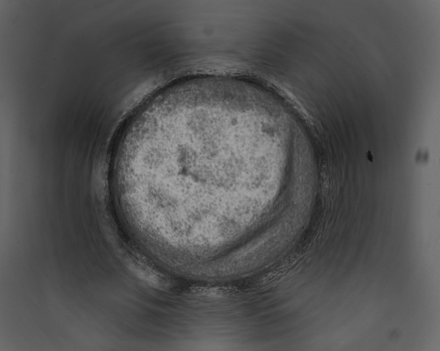 X0000089380679200707131659