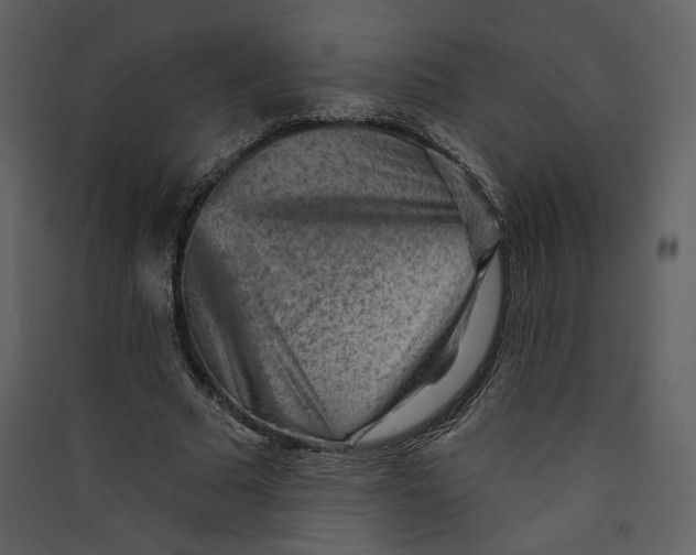 X0000089380681200707131659