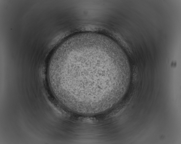 X0000089380683200707131659