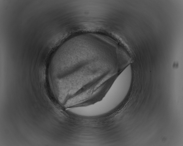 X0000089380685200707131659