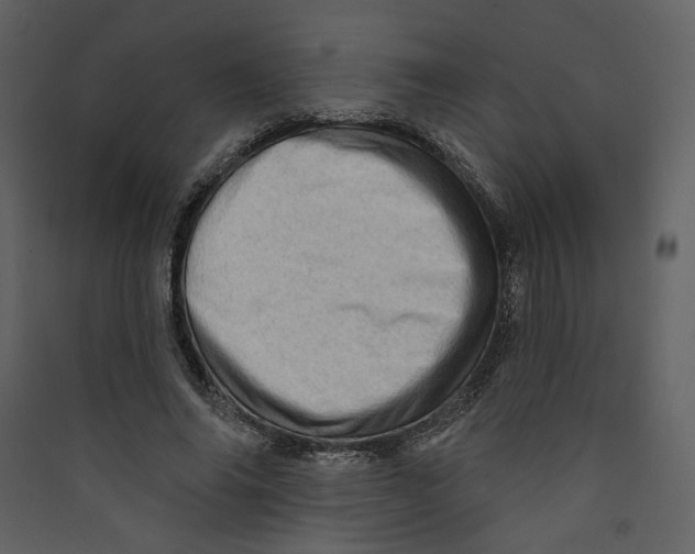 X0000089380686200707131659